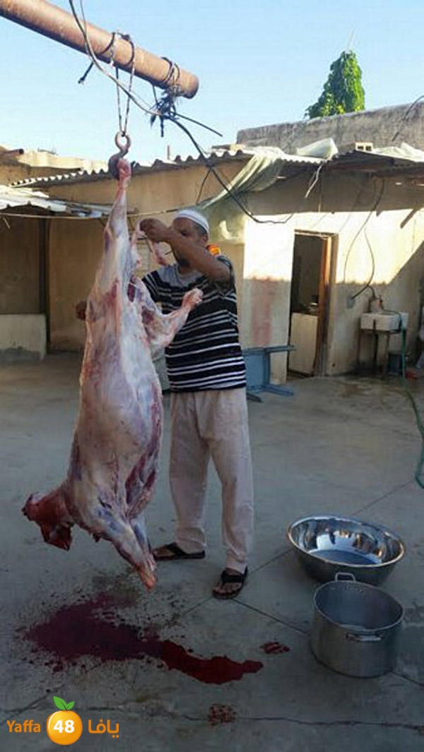 dabe7 ludj31 (69).jpg